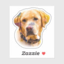 Recherche de labrador retriever autocollants Amoureux de les chiens