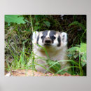 Recherche de blaireaux art Animal