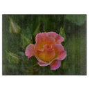 Recherche de rose planches à découper Pêche