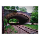 Recherche de habitats posters Photographie