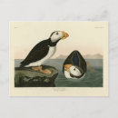 Recherche de factures cartes postales Illustration