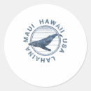 Search for retro hawaii stickers Vintage