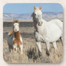 Search for horse coasters Mare