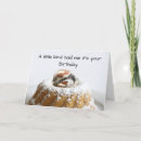 Search for funny bird birthday cards Cute