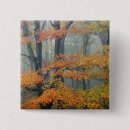 Search for fall tree buttons Maple