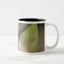 Search for young adult mugs Endangered