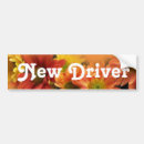 Search for daisies bumper stickers Red