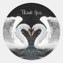 Search for mirror stickers Animal