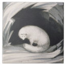 Search for arctic tiles Animals