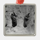 Search for white duck ornaments Black and white