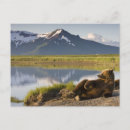 Search for alaska postcards Paul souders