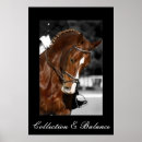 Search for horse eventing posters Dressage