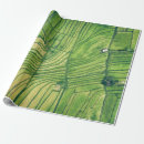 Search for rice wrapping paper Green