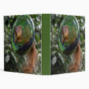 Search for squirrel binders Nature
