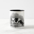 Search for grazing cows mugs Cattle