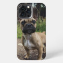 Search for french bulldog iphone cases Cute dog