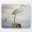 Search for wild one mousepads Usa