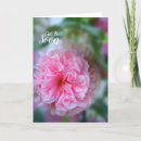 Search for photo get well cards Pink flower
