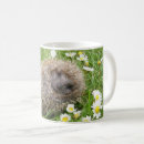 Search for hedgehog baby mugs Young animal