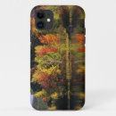 Search for tree with falling leaves cases Landscape