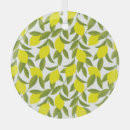 Search for citrus ornaments Food