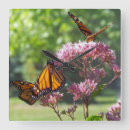Recherche de papillon violet horloges Monarque