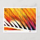 Recherche de cocotier cartes postales Botanique