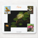 Search for crocus electronics Elegant