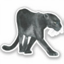 Search for black panther Birthday