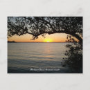 Search for chuck horizontal postcards Sunset