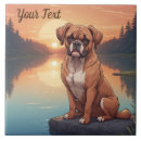 Recherche de boxer carreaux Canine