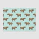 Search for safari tissue paper Trendy