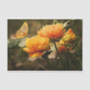 Search for insect gift wrap Garden