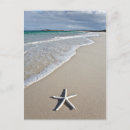 Search for remote postcards Sea