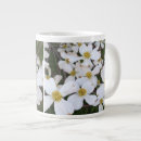 Search for flowering dogwood mugs Blossoms
