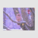 Search for barn tissue paper Winter