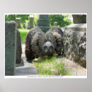 Recherche de hibou à cornes posters Grand