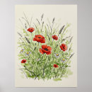 Search for flora posters Floral illustration