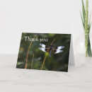 Search for odonata Nature
