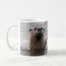 Recherche de loutre rivière tasses Mammifère