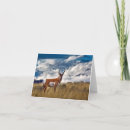 Recherche de yellowstone vœux cartes Travel