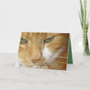 Recherche de kat vœux cartes Chat