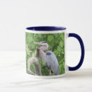 Search for great blue heron mugs Nature