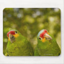Search for honduras electronics Animal