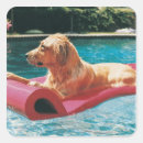 Recherche de allongé autocollants Longueur totale