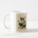 Search for mourning mugs Zenaida macroura