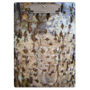 Recherche de bois naturel porte blocs Bouleau