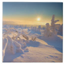 Search for mountain tiles Winter