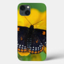 Search for flower spot electronics Insect