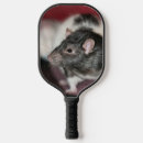 Search for rat Photography